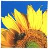 8120-163 Micro Design, 023-Sonnenblume