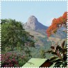 8120-163 Micro Design, 091-Landschaft I