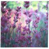 8120-163 Micro Design, 104-Lavendel