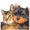 8120-163 Micro Design, 114-Hund & Katz