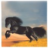8120-163 Micro Design, 118-Black Beauty